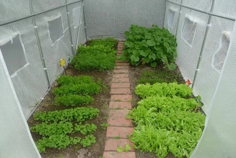 Tält av metallfolie 2,5x4 m vit Garden Point