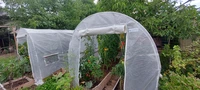 Plastfolie till odlingstunnel 2x3 m Garden Point vit