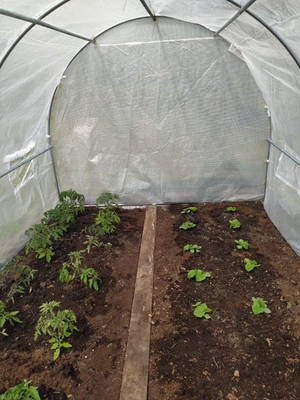 Plasttält metall 2,5x4 m Garden Point vit