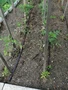 Plasttält metall 2,5x4 m Garden Point vit