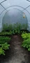 Plasttält metall 2,5x4 m Garden Point vit